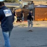 Fiesta de cumpleaños termina en caos: Balacera con 70 disparos sacude Peñaflor