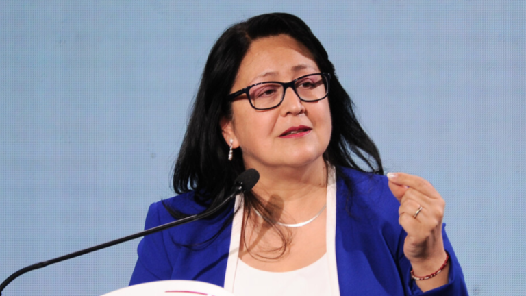 Contraloría advierte que incendios en Ñuble y Bío Bío ponen en riesgo provisiones para el reajuste al sector público