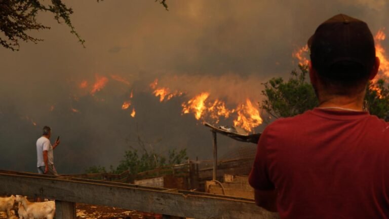 “La habíamos cagado”: testimonio remece investigación por 138 muertes en megaincendio