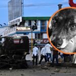 Un camión cargado con explosivos fue detonado junto al comando policial de Norte de Santander, en Cúcuta. El ataque dejó 14 personas lesionadas y provocó la muerte de “Gorda”, una perrita que vivió durante ocho años junto a los uniformados.