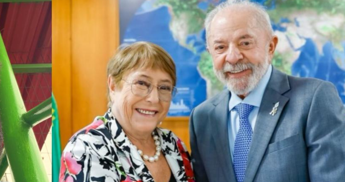 Boric Bachelet y Vallejo celebran triunfo de Lula