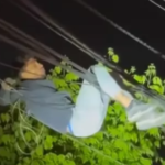 El Bosque: sorprenden a ladrón y termina colgado de cables eléctricos