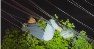 El Bosque: sorprenden a ladrón y termina colgado de cables eléctricos